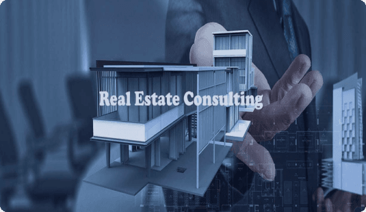 Consulting Services